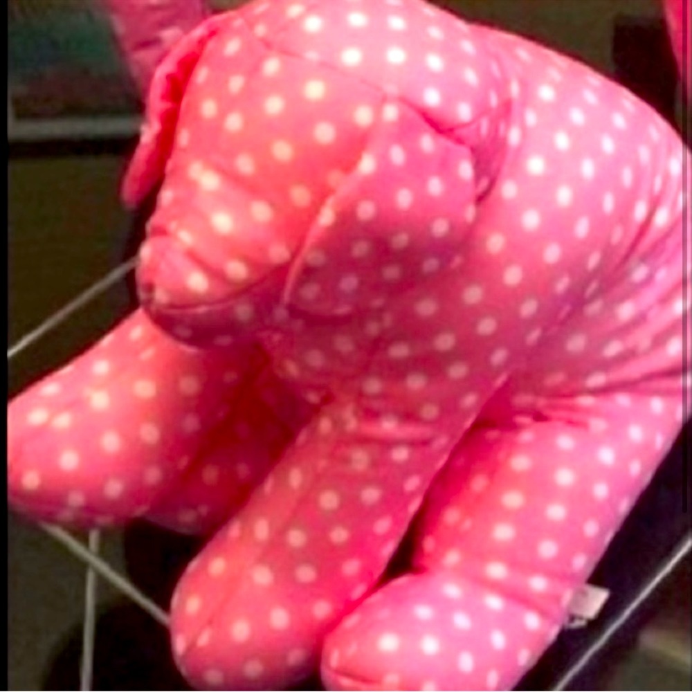 IN SEARCH OF THIS PONK DOG!